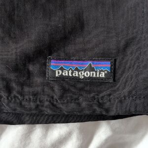 Patagonia Lined Shorts, 2 Pair